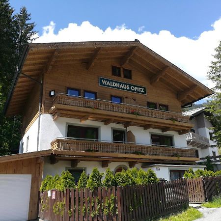 Apartment Waldhaus Opitz Zell am See Exterior photo
